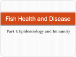 Fish Health and Disease