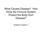 What Causes Disease? How Does the Immune System Protect the
