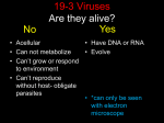 Viruses - North Mac Schools