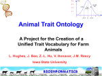 Animal trait ontology