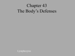Chapter 43 The Body`s Defenses