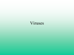 Viruses