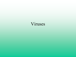 Viruses