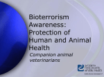 Food Animal Veterinarian Presentation