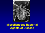 Foundations in Microbiology