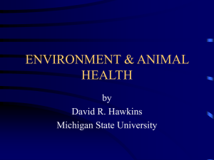 ENVIRONMENT & ANIMAL HEALTH