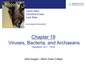 chapter19_Sections 1-5-Viruses Bacteria and Archaeans