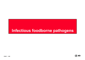 Pathogenic E. coli