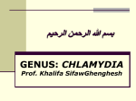 Lecture 29-Chlamydia