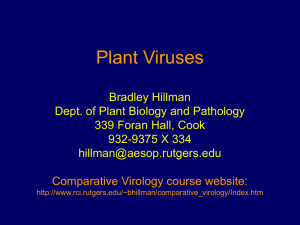 Plant Virology