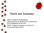 pest_diseases