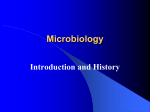 Introduction and History