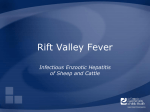 Rift Valley Fever - The Center for Food Security and Public Health