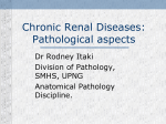 MBBS IV chronic renal diseases seminar 2013