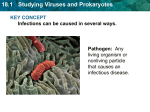 18.1 Studying Viruses and Prokaryotes