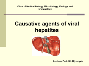 Causative agents of viral hepatites