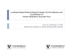 Luciferase Based Plasmid Reporter System for the