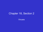 Chapter 18, Section 2