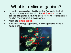 microbe detectives through the ages…