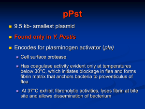 Y. Pestis