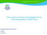 Cell culture and new technologies for in