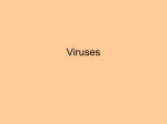 Viruses