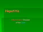 H.D.Hepatitis.spring.10 hepatitis1