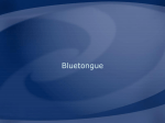 Bluetongue