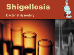 Shigellosis