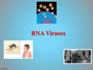 RNA Viruses