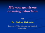 Microorganisms causing abortion By Dr. Sahar Zakaria