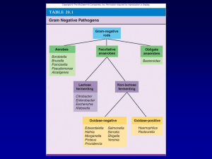 Foundations in Microbiology