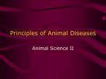 Principals of Animal Diseases