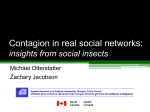 Contagion in real social networks