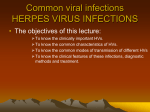 9- hsv infections