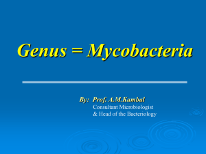 Prof. Kambal-Mycobacteria (Undergraduate)