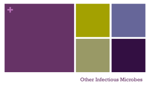 4. Other Infectious Microbes