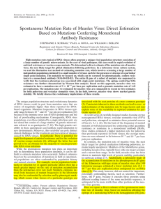 Spontaneous Mutation Rate of Measles Virus: Direct Estimation