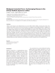 Malignant Catarrhal Fever: An Emerging Disease in the S. Pfitzer