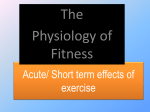 Musculoskeletal system - Responses to exercise PPT