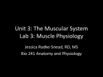 Muscle Physiology - CCS Faculty Websites