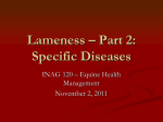 Lameness * Part 2: Specific Diseases