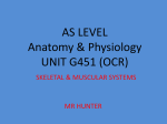 AS LEVEL Anatomy & Physiology UNIT G451 (OCR)