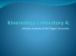 Kinesiology Laboratory 4 - Kinesiology Lab