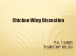 Chicken wing dissection