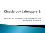 Kinesiology Laboratory 3 - Kinesiology Lab
