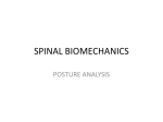 SPINAL BIOMECHANICS