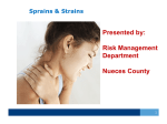 Preventing Sprains & Strains