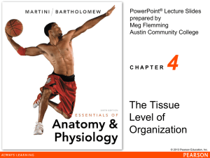 Chapter 4 Lecture