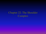 Chapter 22: The Shoulder Complex